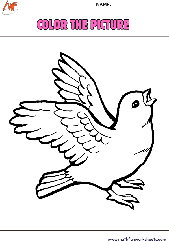 Birds Coloring Pages