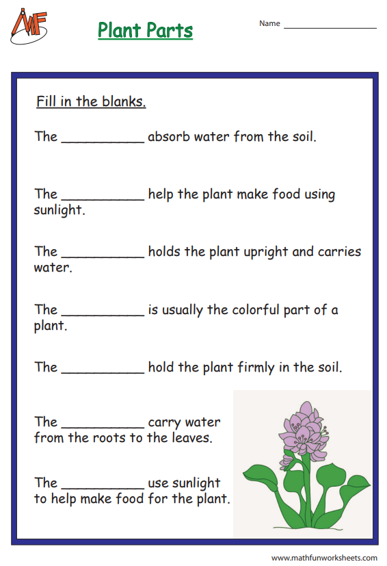 Fill in the blanks