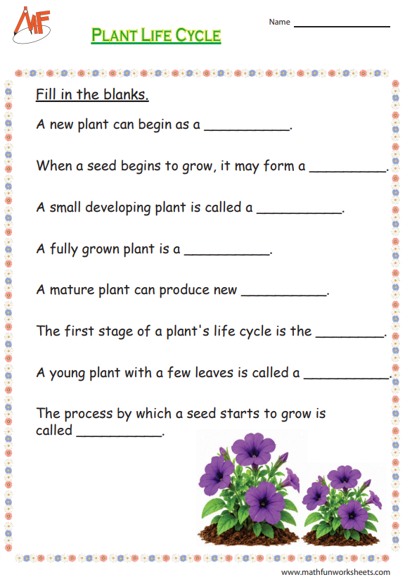 Plant Life Cycle Worksheets