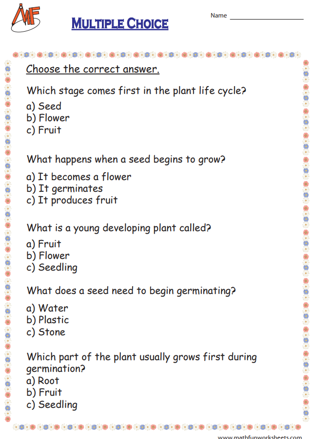 Plant Life Cycle Worksheets