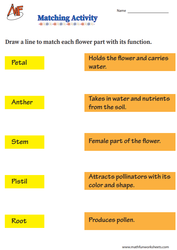 Match the parts With Functions