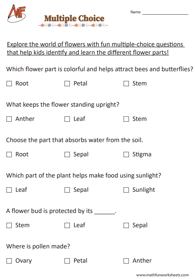 Multiple Choice