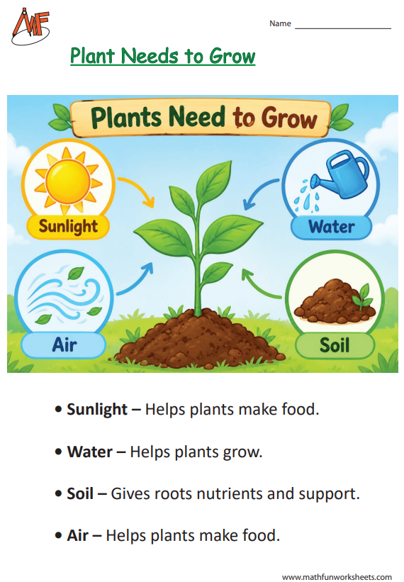 Plant Needs Worksheets