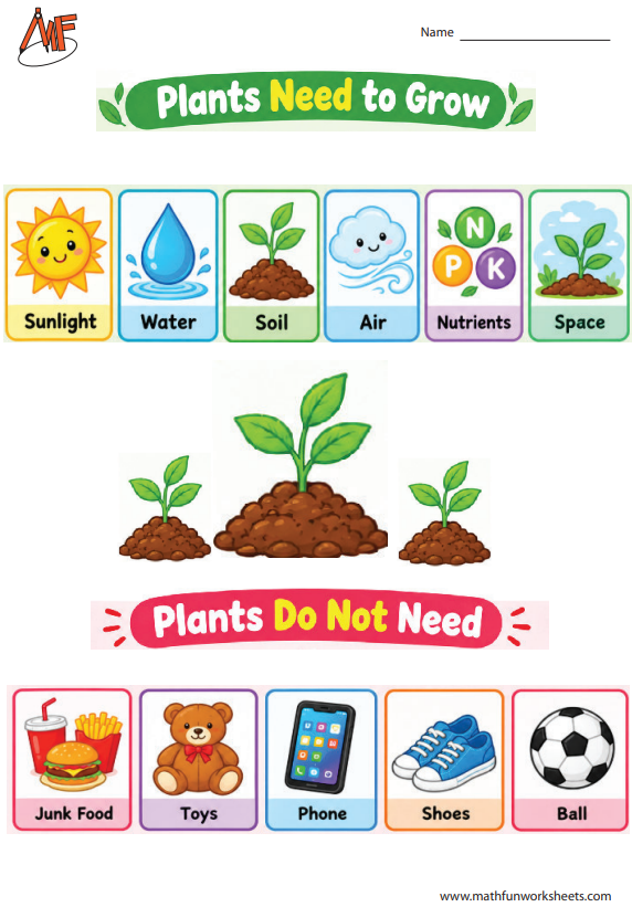 Plant Needs Worksheets