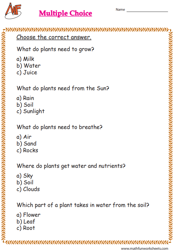 Plant Needs Worksheets