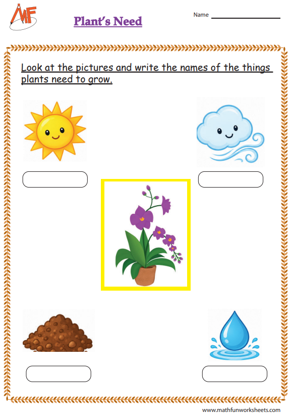 Plant Need Things
